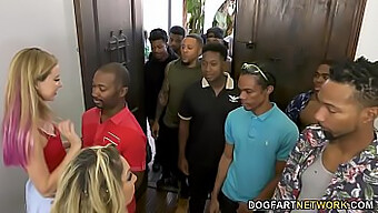 Haley Reed And Her Mom Kiki Daire In A Group Sex Session With 12 Black Men