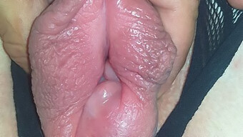 A Stunning Amateur Girl Experiences Intense Pleasure As Her Moist Vagina Is Vigorously Stimulated, Resulting In A Loud Cry Of Ecstasy And Noticeable Enlargement