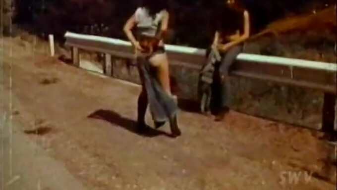 Violencia de pandilla americana vintage y sexo brutal en 1972