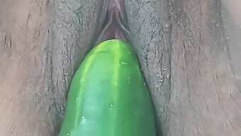 A Bbw Girl Enjoys Masturbation With A Cucumber And Smoking