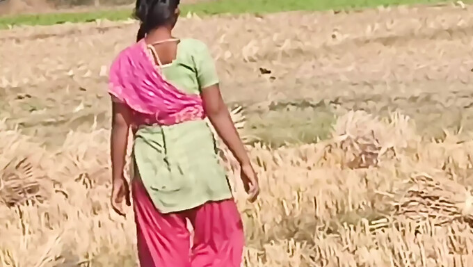 La pom-pom girl du village Desi se fait manger et baiser ses gros seins