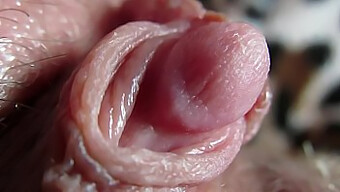 Intense View Of My Massive Clitoris Throbbing During Hardcore Sex