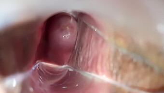 Teen'S Intense Orgasm With Speculum And Cervix Stimulation