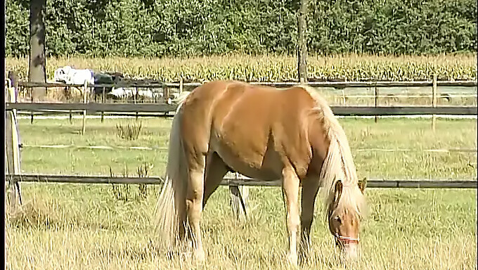 Chudá farmárka si užíva sólo hranie v lese