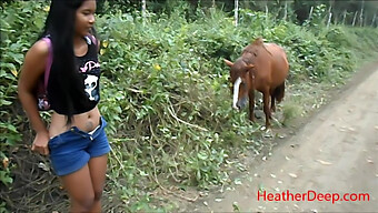 Video Hd Seorang Gadis Yang Kencing Di Samping Kuda Di Hutan