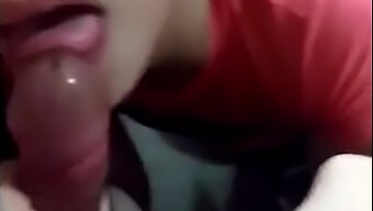 Lelaki Amatur Menerima Blowjob Dari Jirannya Di Bilik Mandi